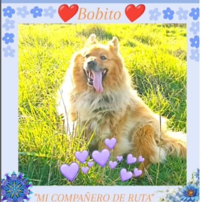 0b687119-458f-4280-aec0-24aab04a5974