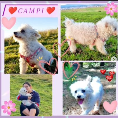 5eac66a1-3c18-4d61-955f-0e8e3d781c4a