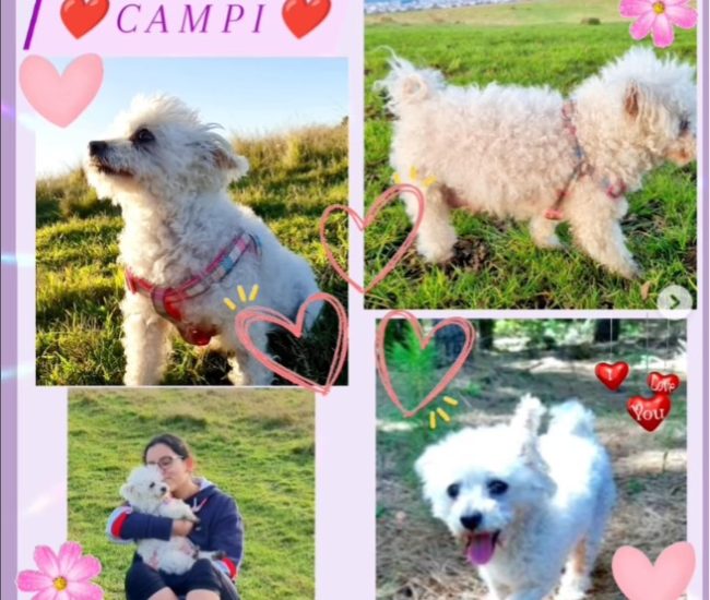 5eac66a1-3c18-4d61-955f-0e8e3d781c4a