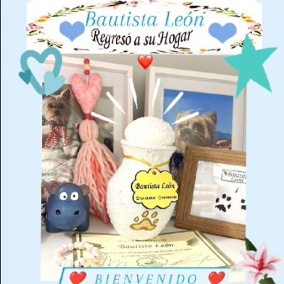 74921d72-ffef-49ba-b161-bd9c034e84f1