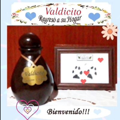 7816b93b-4665-4708-accc-929b9ad9db45