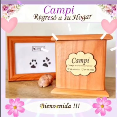 bd1ef619-699b-4362-b011-f4dabffbfd12