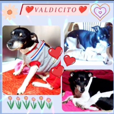 cbb55c57-3353-48db-8696-b2da9fca1845