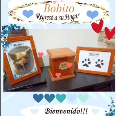 d32b41e9-af41-43dc-b8ef-e0c10e3c1151