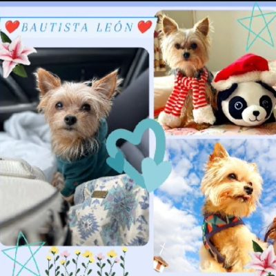 d4987d4e-31f9-4aec-8eb1-40decf64fcd3