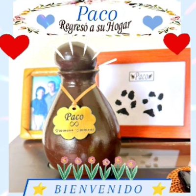 05707367-f83e-4cd8-9f56-695c8c72a6ed