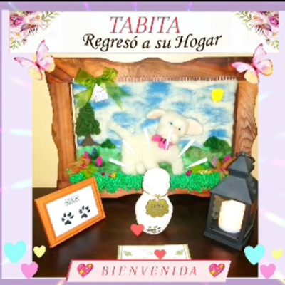 11751ab1-6e4a-42b9-8b63-3197b6f81ffe