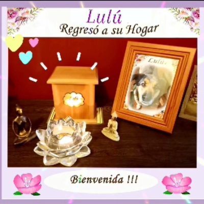 5f9a34f1-5950-47b4-a190-ca755b0330b5