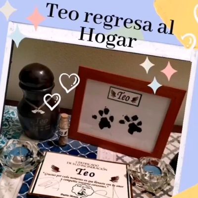 5fe75bbe-ea2f-4ca3-8a81-f176aaa785be