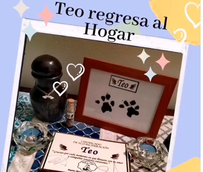 5fe75bbe-ea2f-4ca3-8a81-f176aaa785be