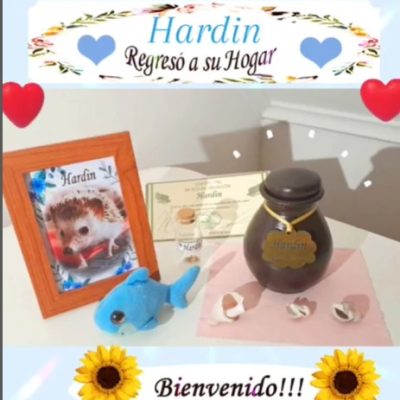 7a228339-6d5f-4db4-a702-d1a3518d3dd5