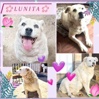 98db9c90-174d-4c75-bd1c-277079fa60e1