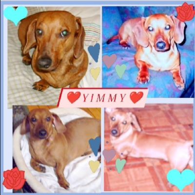 9bc30f00-5ca3-4d92-8a5e-1727d563fd21