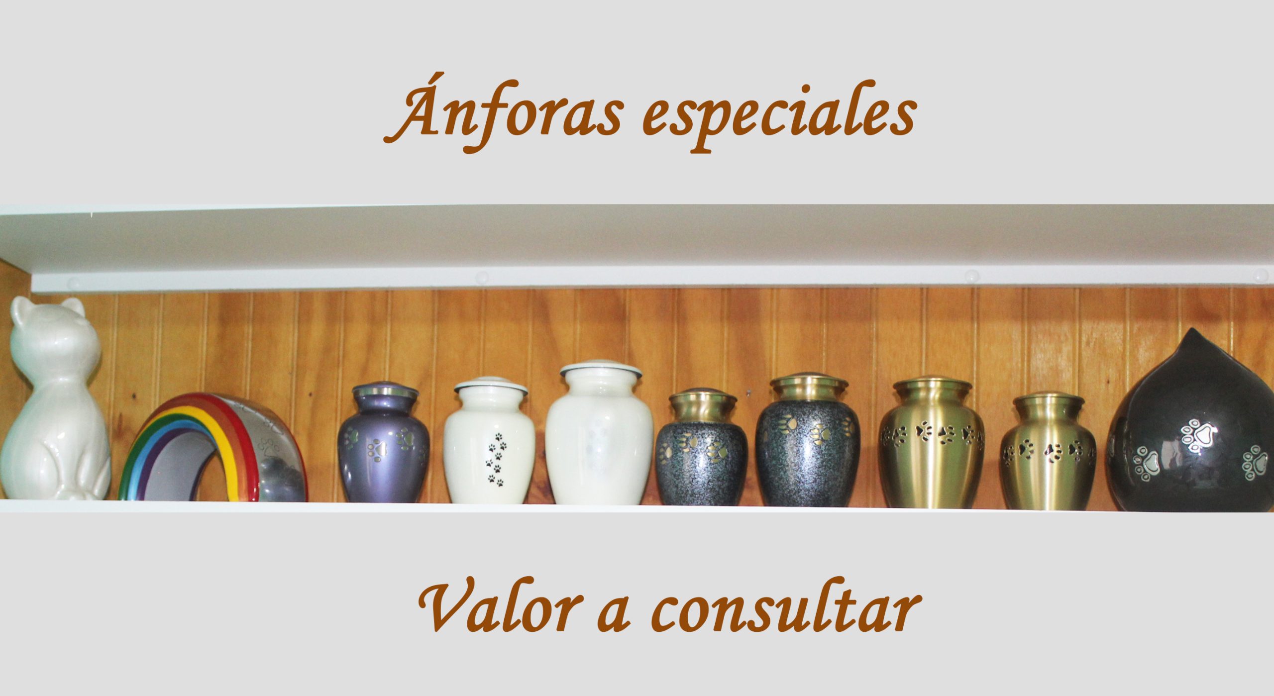anforas especiales