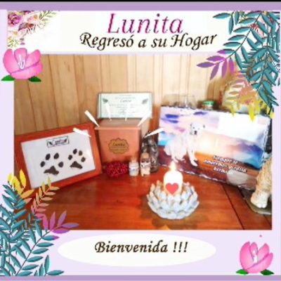 ce0a5d28-990e-4d7e-b9c0-9bc672280e27