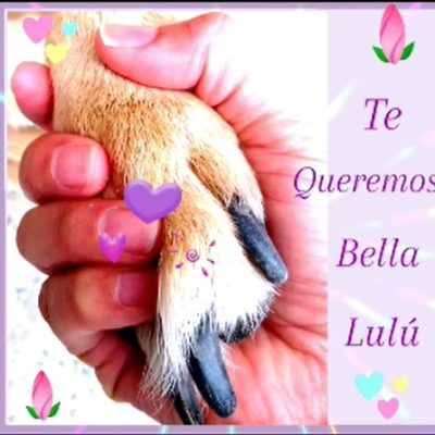 d13d1582-b818-4d71-97c8-0a0809b22213