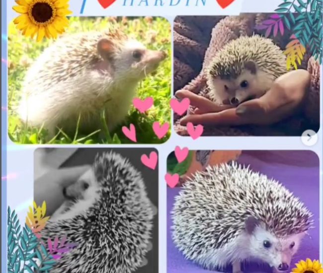 e4006f46-4d90-4599-bfe5-c903dcb15077