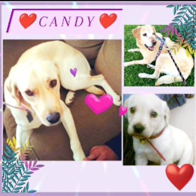 eeb17db9-3db3-429f-be2d-1cead5783f3c