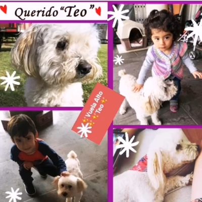 f513c6a6-ab82-4f25-a579-be56b464c76c