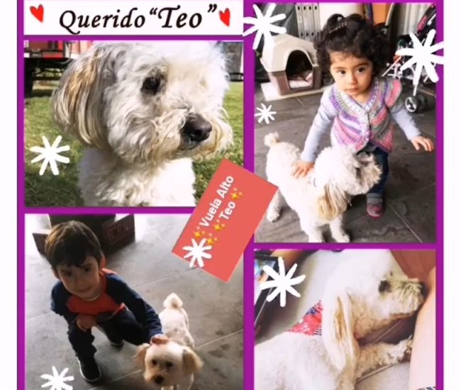 f513c6a6-ab82-4f25-a579-be56b464c76c