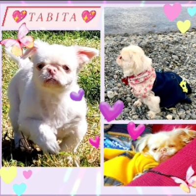 f8a36162-502e-4fc7-9573-cbdea54873b3