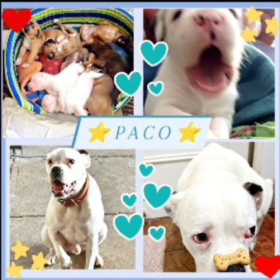 ff77e6b3-4da1-4ae1-9a80-9dbf7a3a9ef7