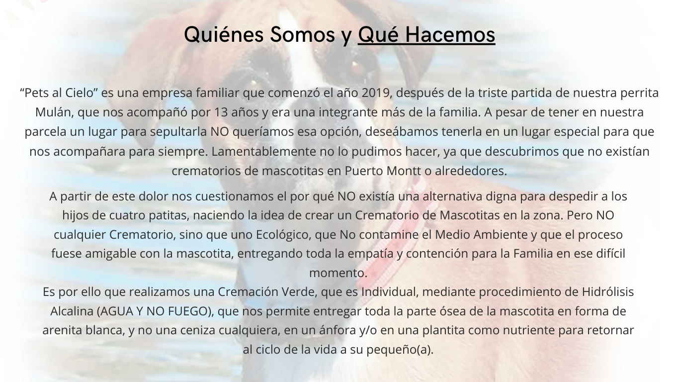 Pets Al Cielo.cl (24)