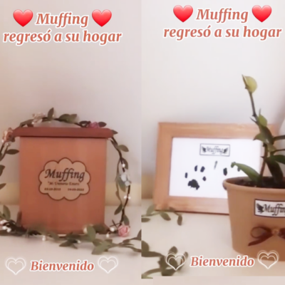 Captura de pantalla 2024-03-04 102146