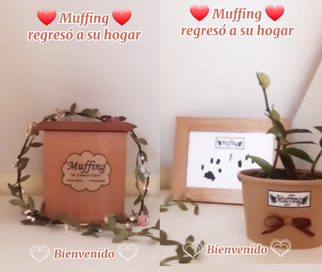 Captura de pantalla 2024-03-04 102146