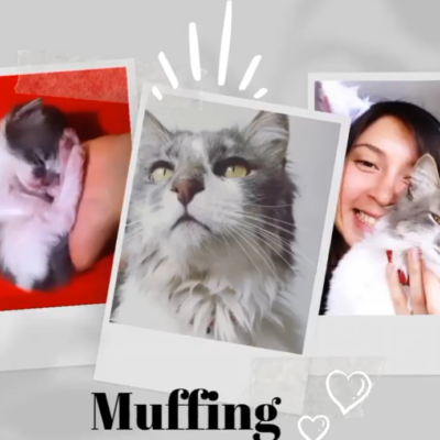 Captura de pantalla 2024-03-04 102344