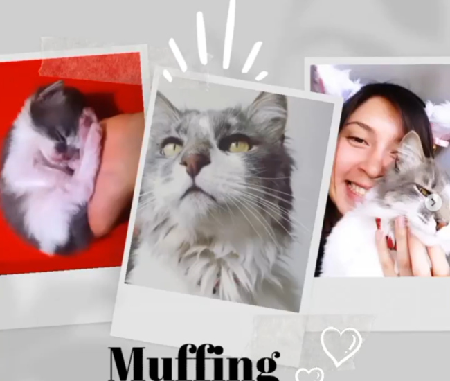 Captura de pantalla 2024-03-04 102344