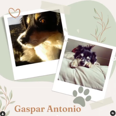 Captura de pantalla 2024-03-04 102439