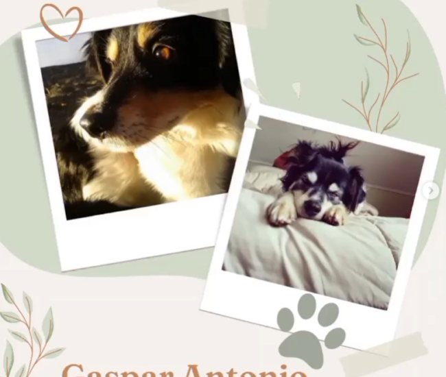 Captura de pantalla 2024-03-04 102439