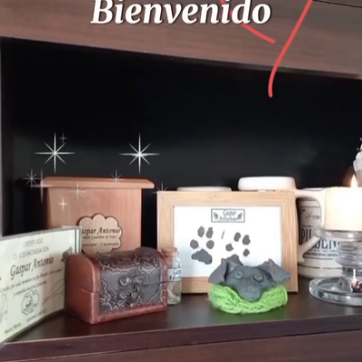 Captura de pantalla 2024-03-04 102502