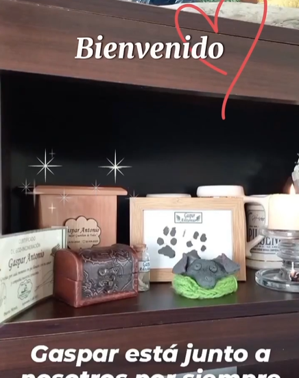 Captura de pantalla 2024-03-04 102502