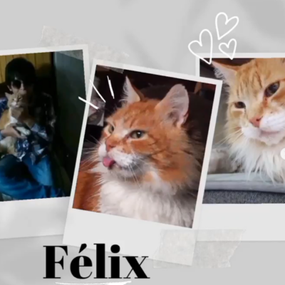 Captura de pantalla 2024-03-04 102527