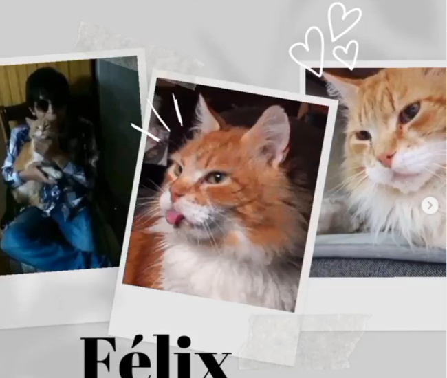 Captura de pantalla 2024-03-04 102527