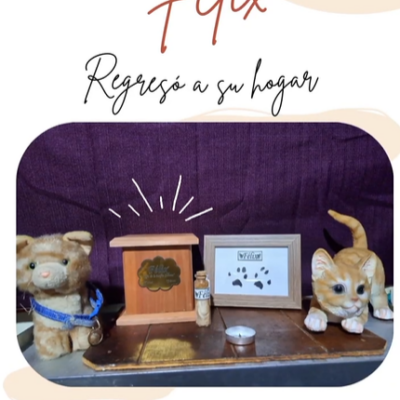 Captura de pantalla 2024-03-04 102547