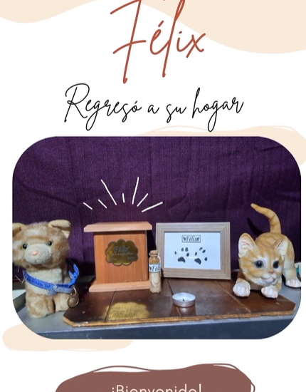 Captura de pantalla 2024-03-04 102547