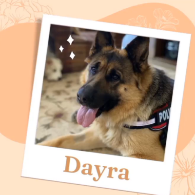 Captura de pantalla 2024-03-05 160455