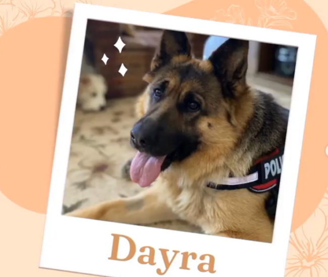 Captura de pantalla 2024-03-05 160455