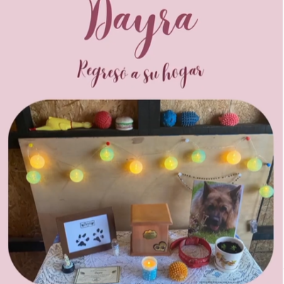 Captura de pantalla 2024-03-05 160521