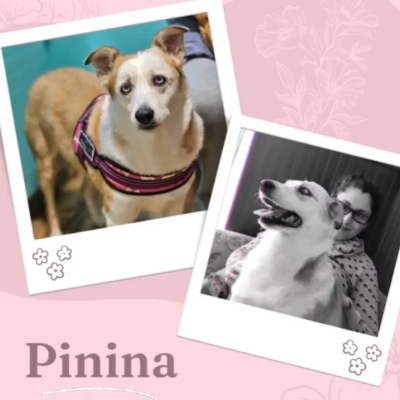 Captura de pantalla 2024-03-05 160538