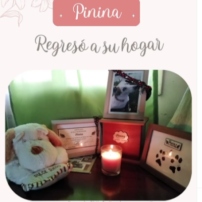 Captura de pantalla 2024-03-05 160555