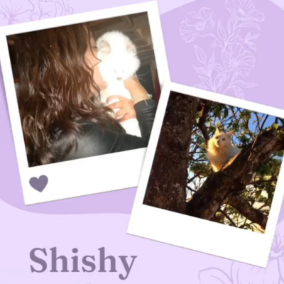 Captura de pantalla 2024-03-05 160617