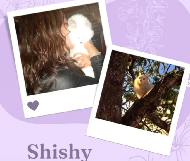 Captura de pantalla 2024-03-05 160617