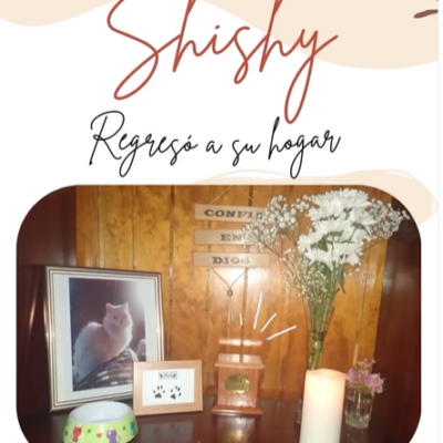 Captura de pantalla 2024-03-05 160632