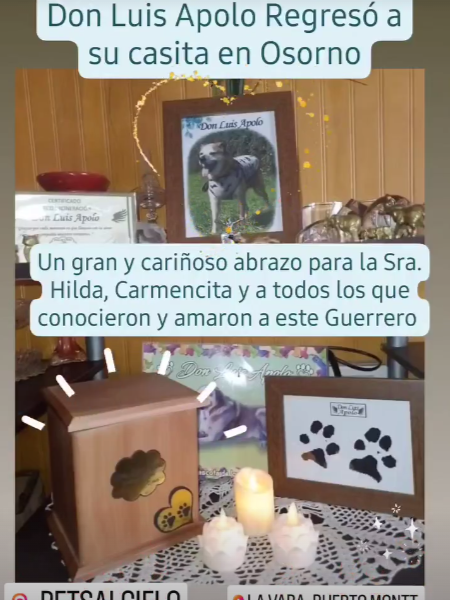 Captura de pantalla 2024-03-01 180919