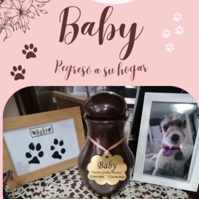 Captura de pantalla 2024-06-09 170630