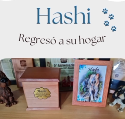 Captura de pantalla 2024-06-09 171306